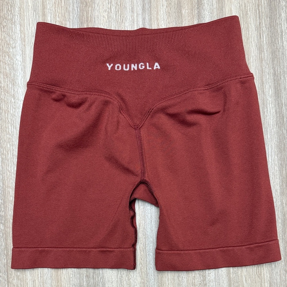 YoungLA Curve Seamless W133 Size X-Small in Color Cider
